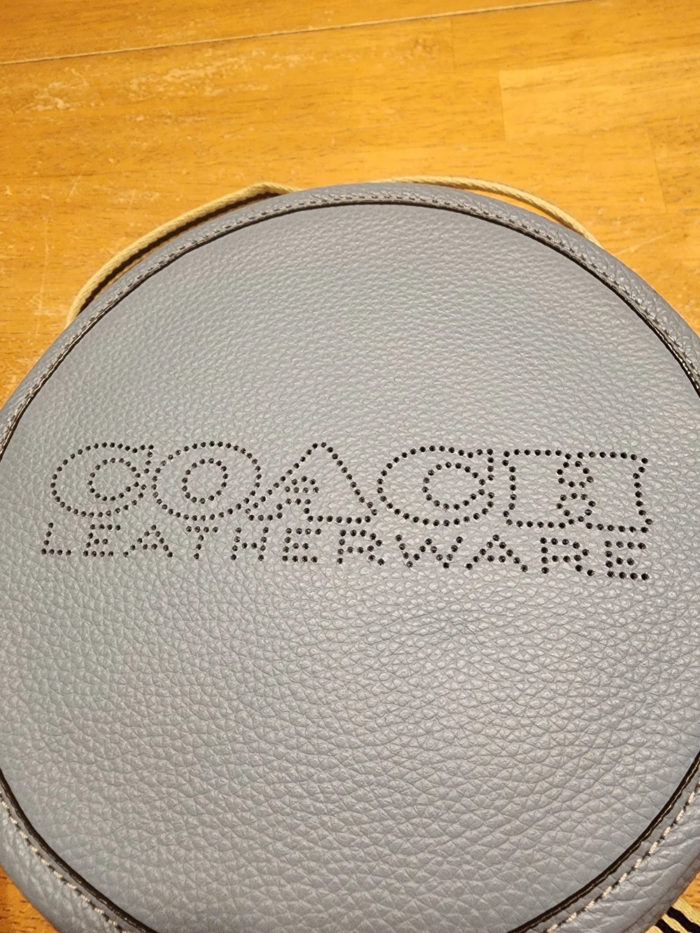 Coach Light Blue Round Crossbody Bag - Signature Leather